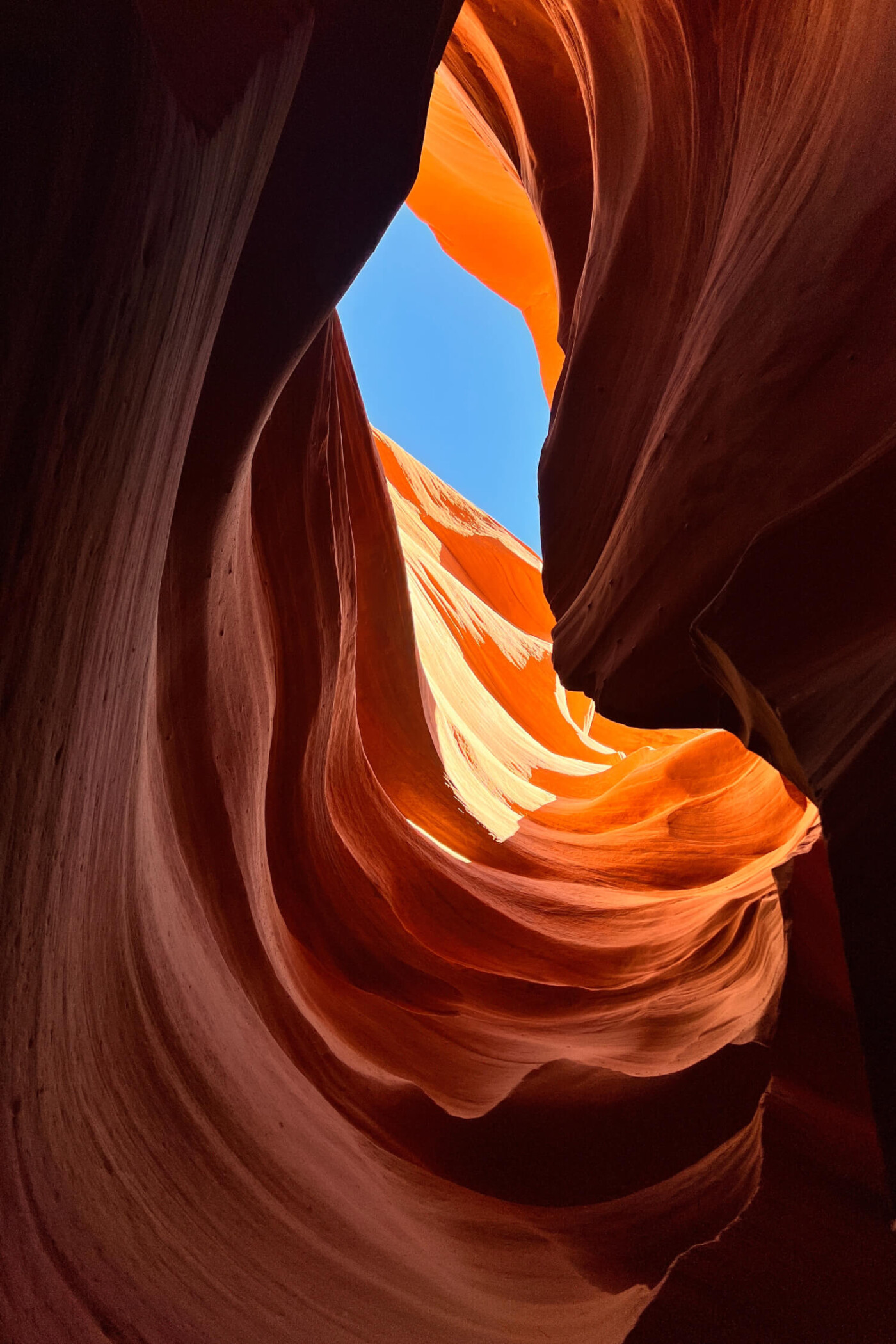 Shapes of nature - Zieta Studio