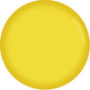 Yellow Glossy 1016