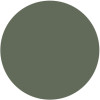 Olive Green Matt 6003