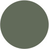 Olive Green Matt 6003