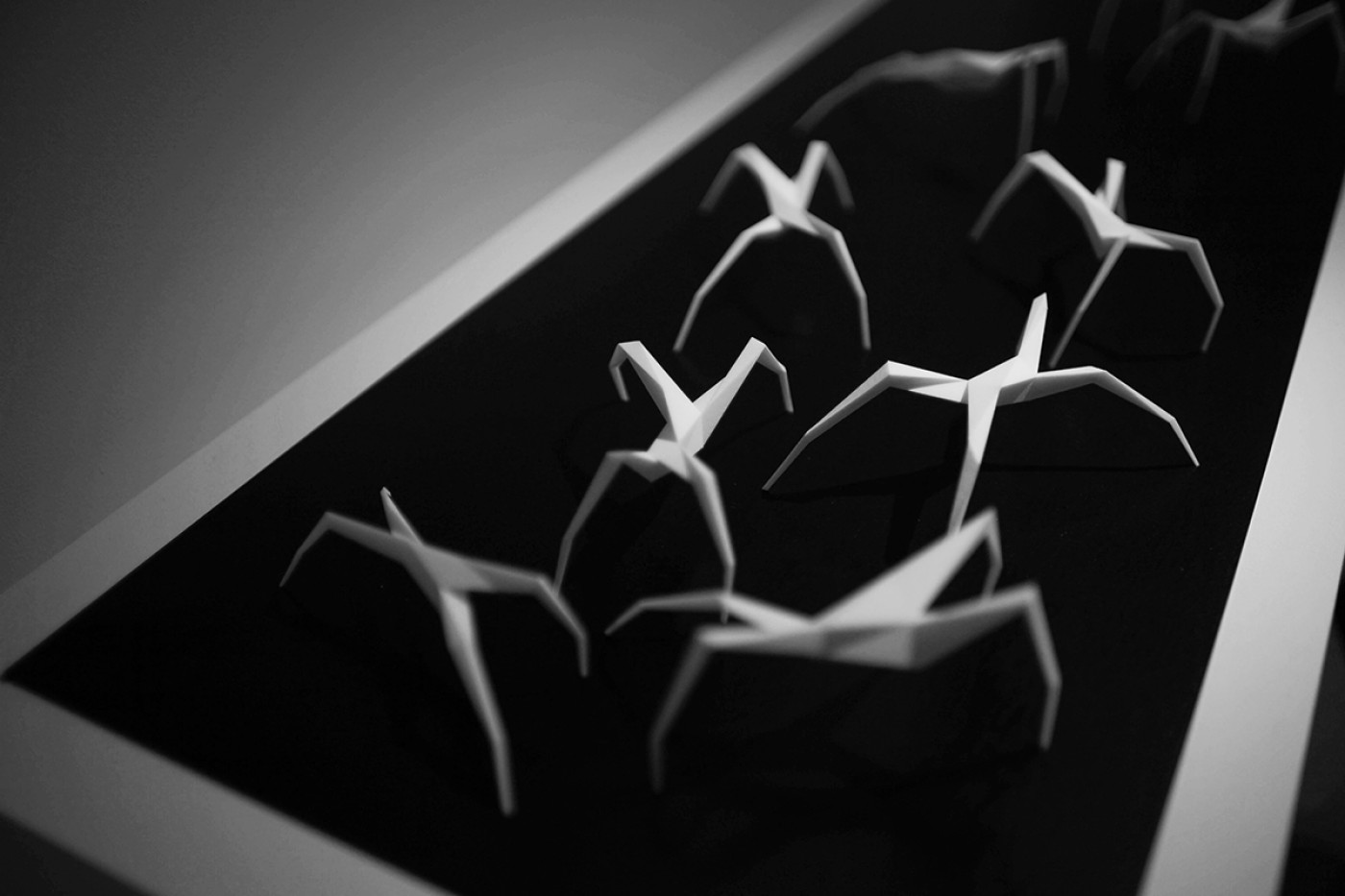 Gliederfüßer Oskar Zięta spider sculpture